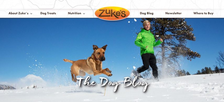 Zuke's dog blog screenshot