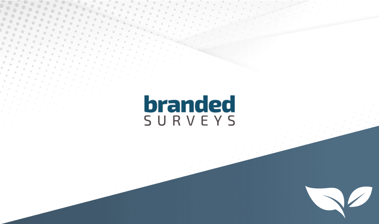 Branded Surveys review