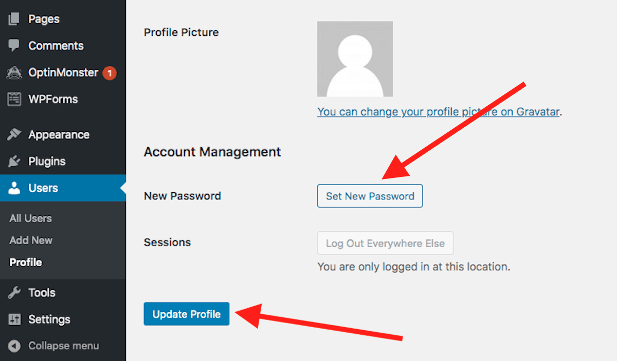 WordPress change user password