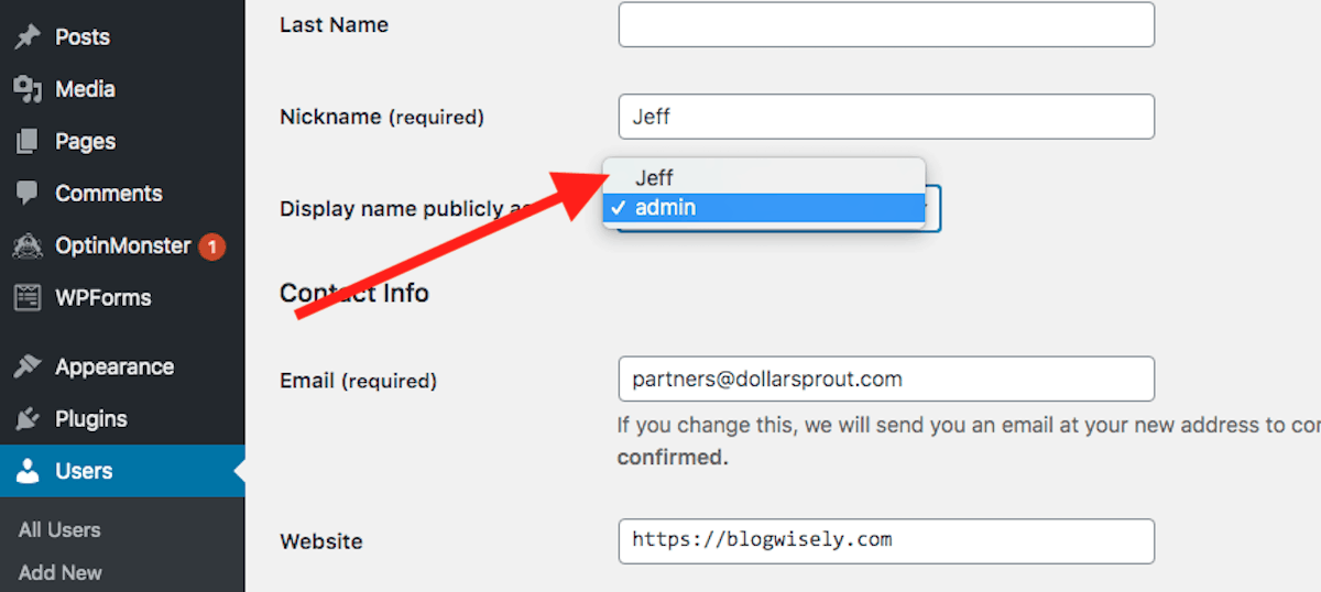 WordPress public name section