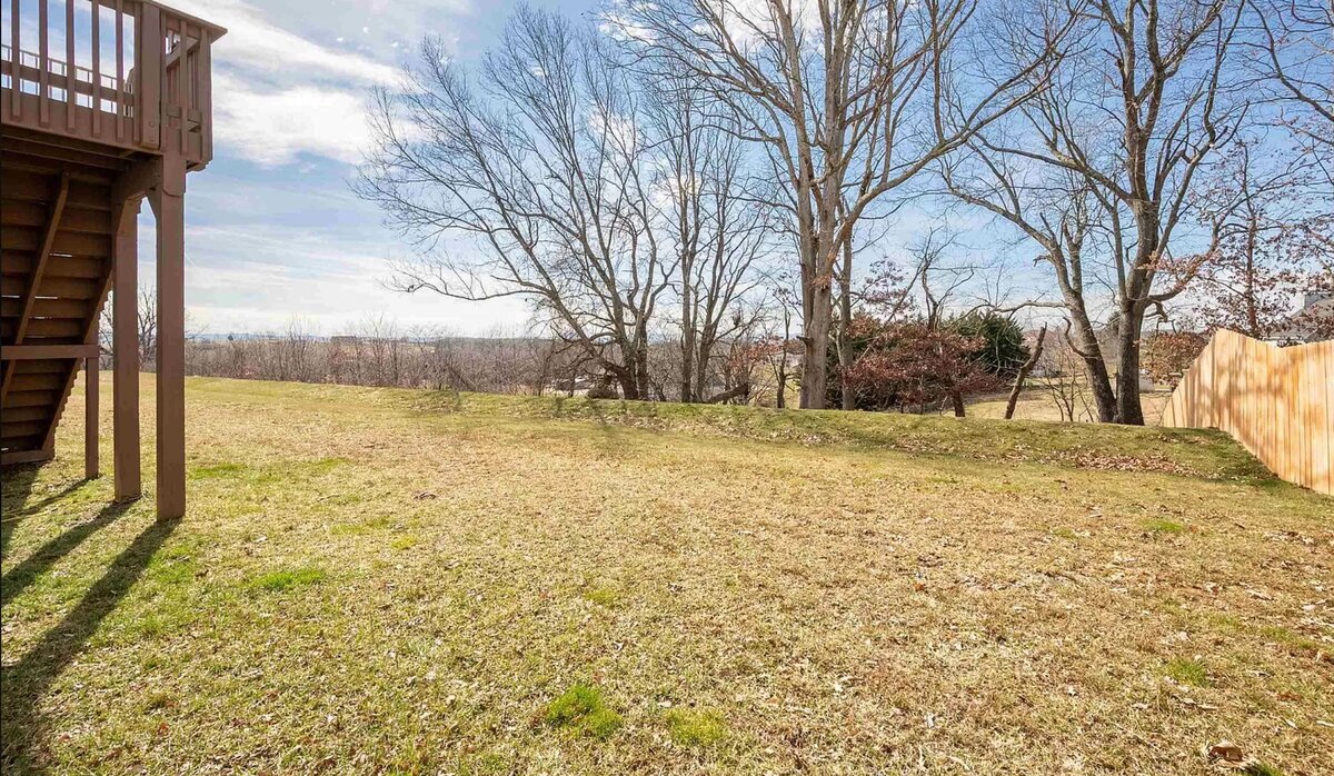 my fenced-in backyard