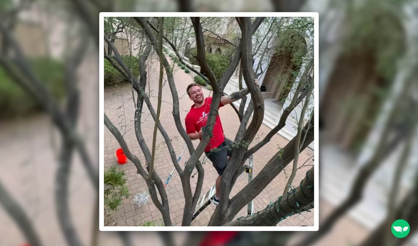 Steve smiles mid-install while standing in a tree, wrapping lights with a ladder and gear below.